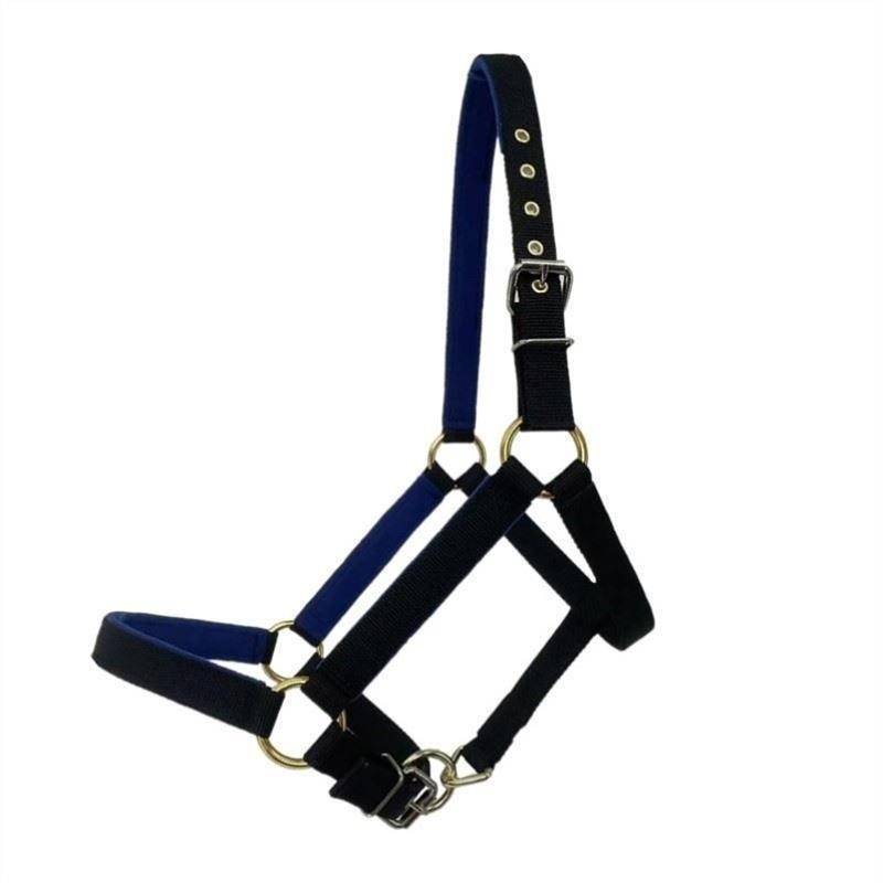 D37-PRESS CAGE L BIG BLACK